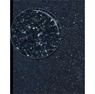 Picture of Black Galaxy